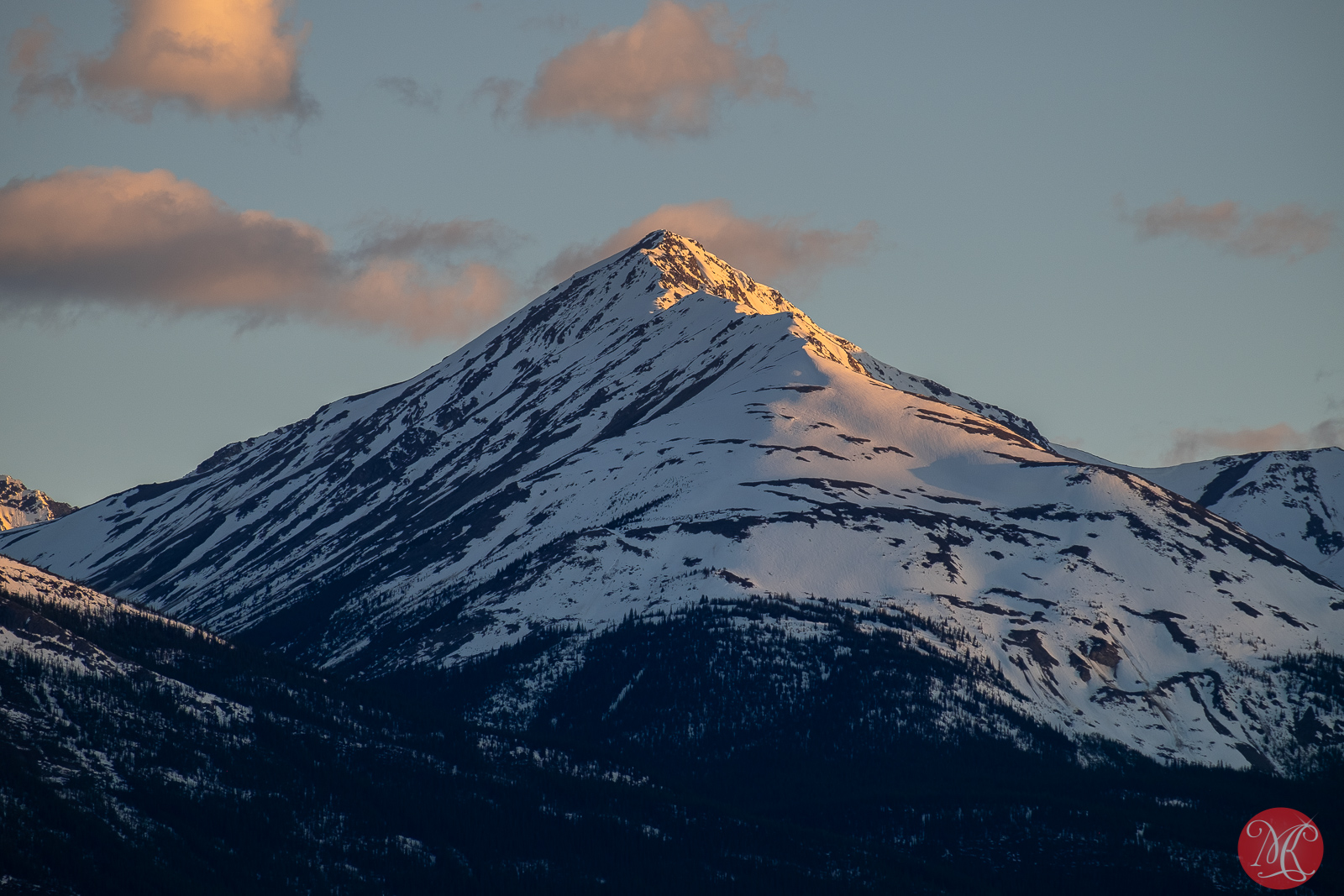 Spring Visit to Jasper NP