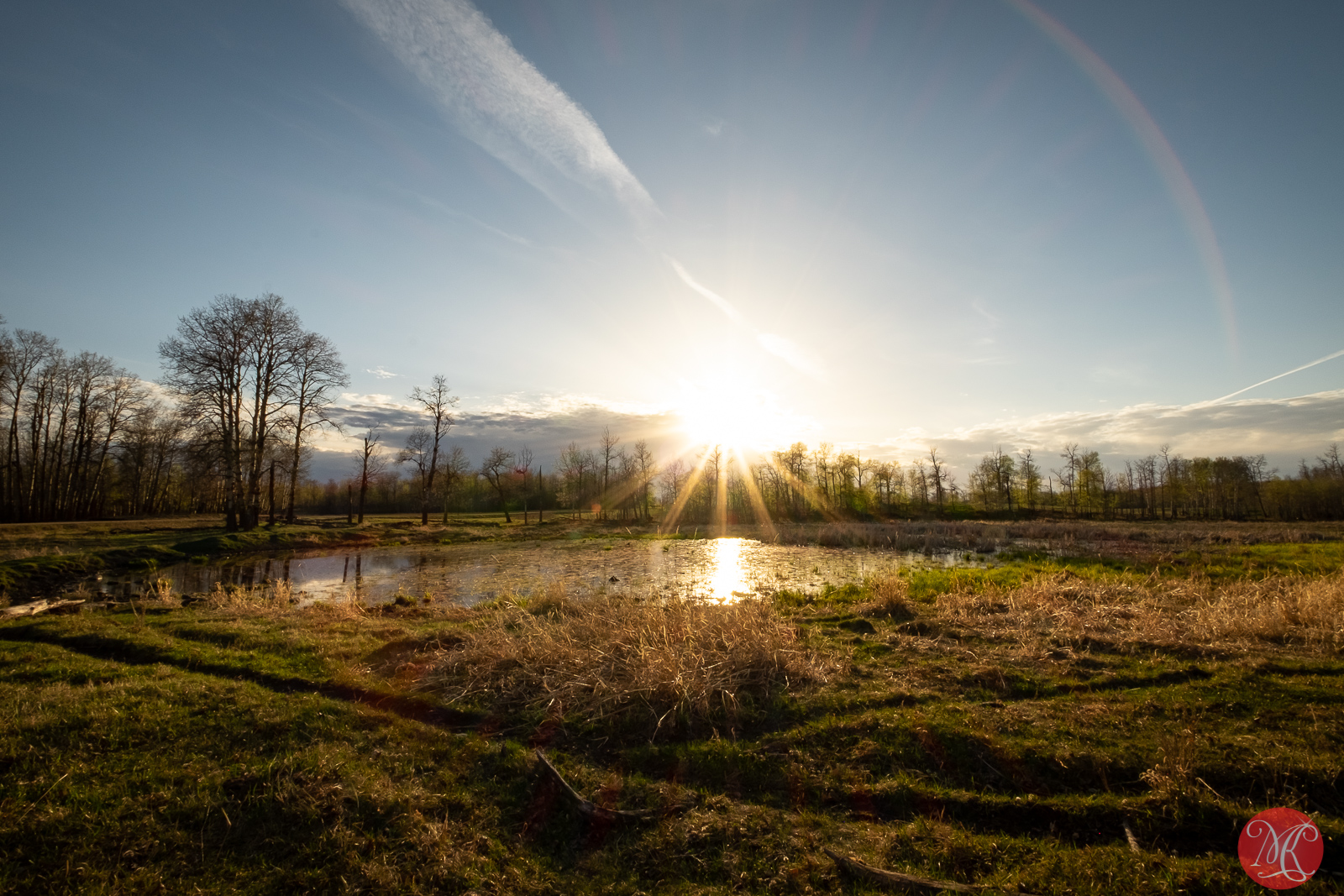 May in Elk Island