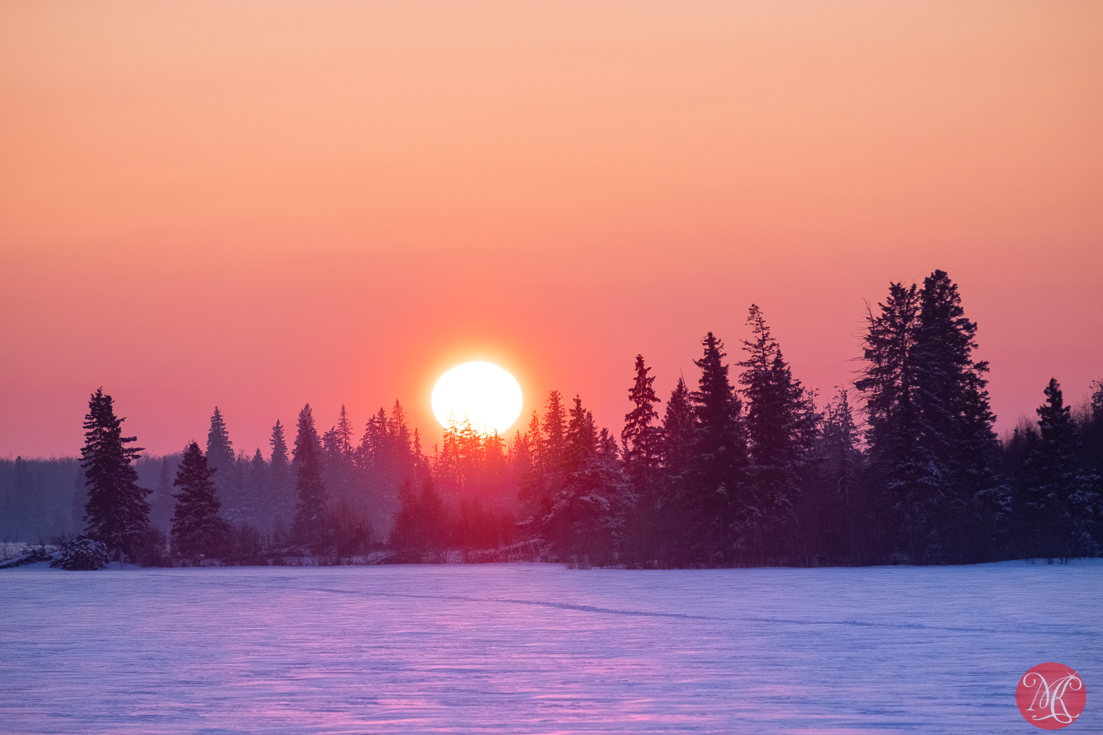 One Cold February Day