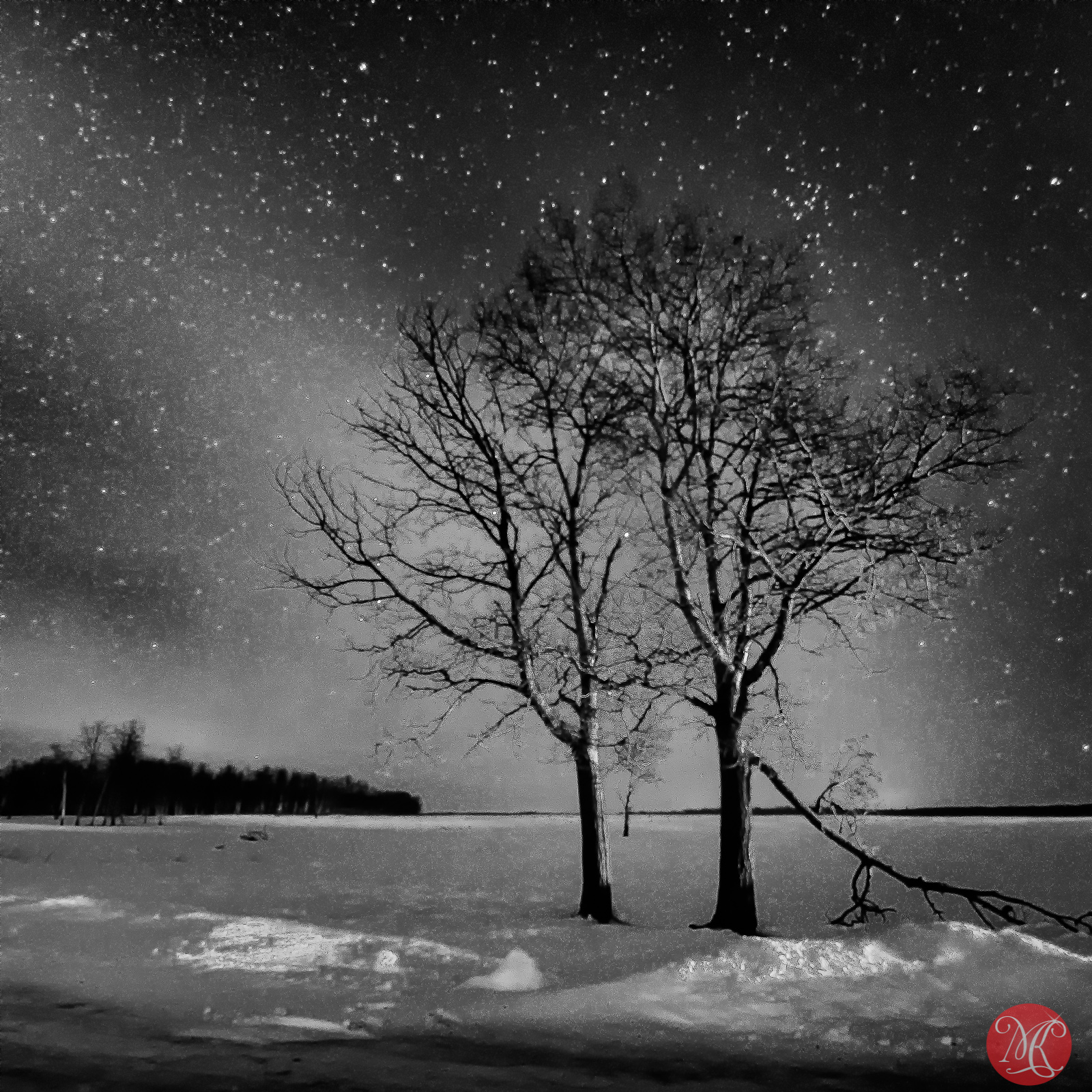 Elk Island in Black and White