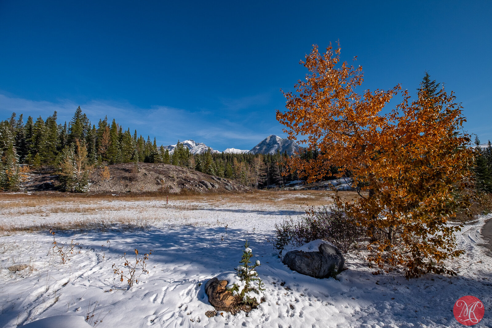 Banff in October – Part 2