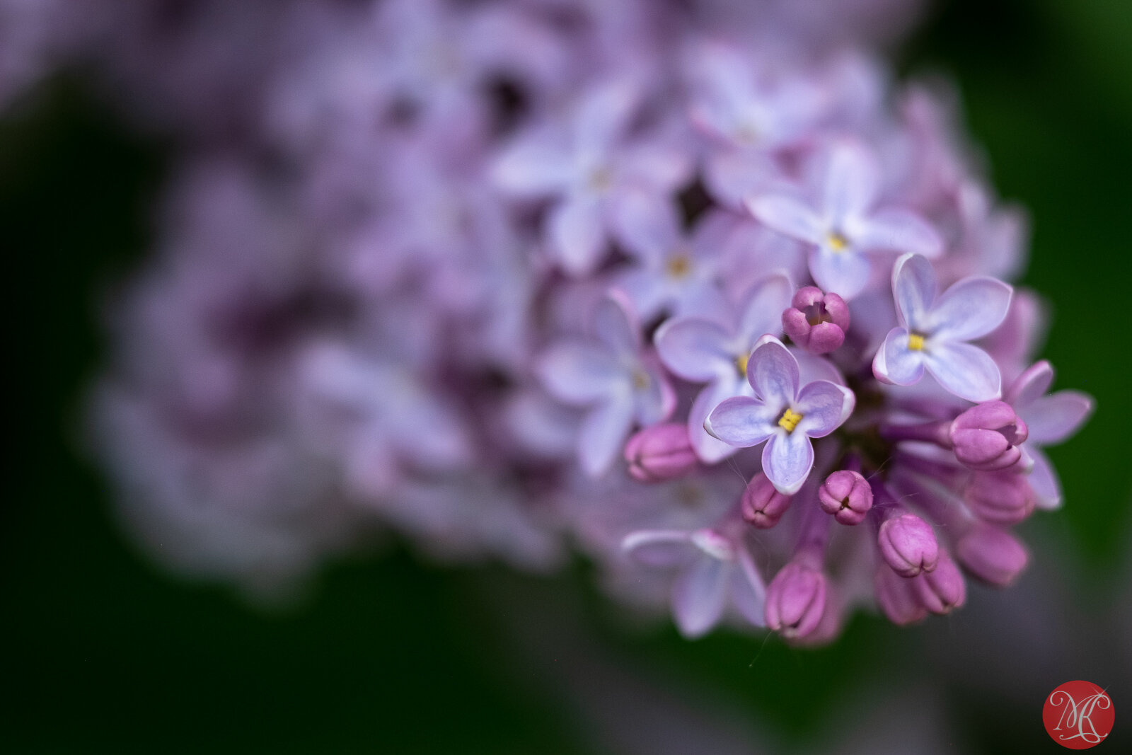 Can’t Wait For Spring!