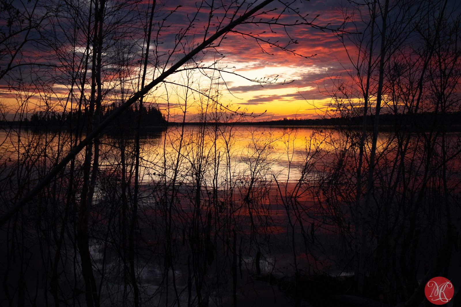 Not Ready for Winter Images Yet…