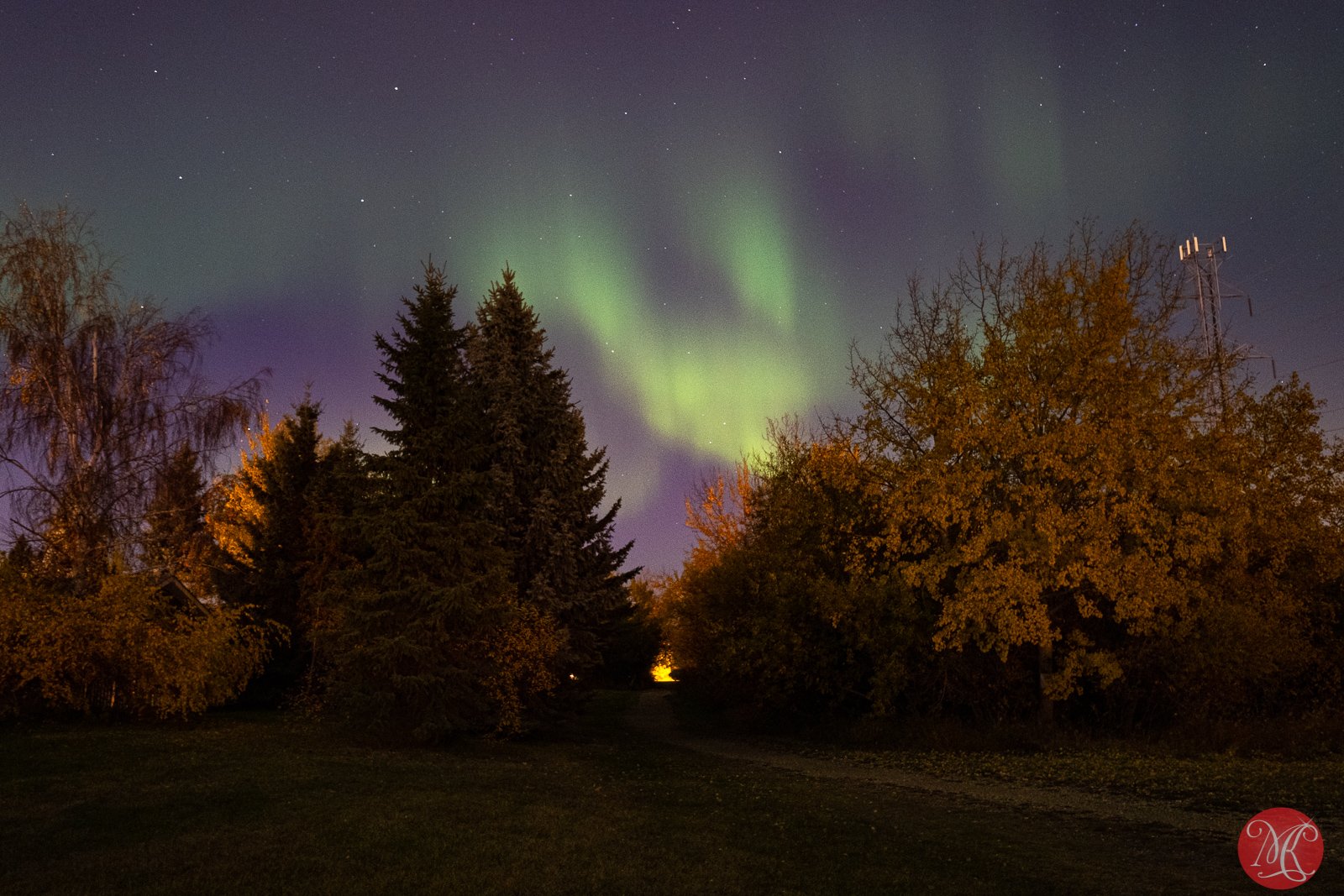 Fall Aurora