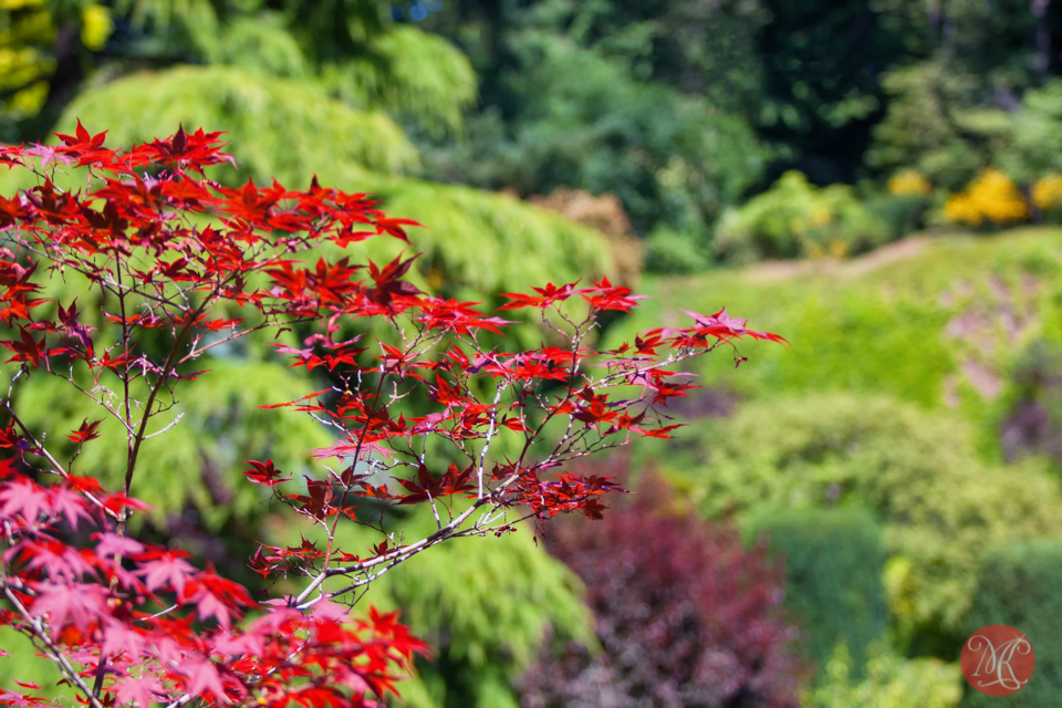Butchart Gardens, Victoria, BC .. 8