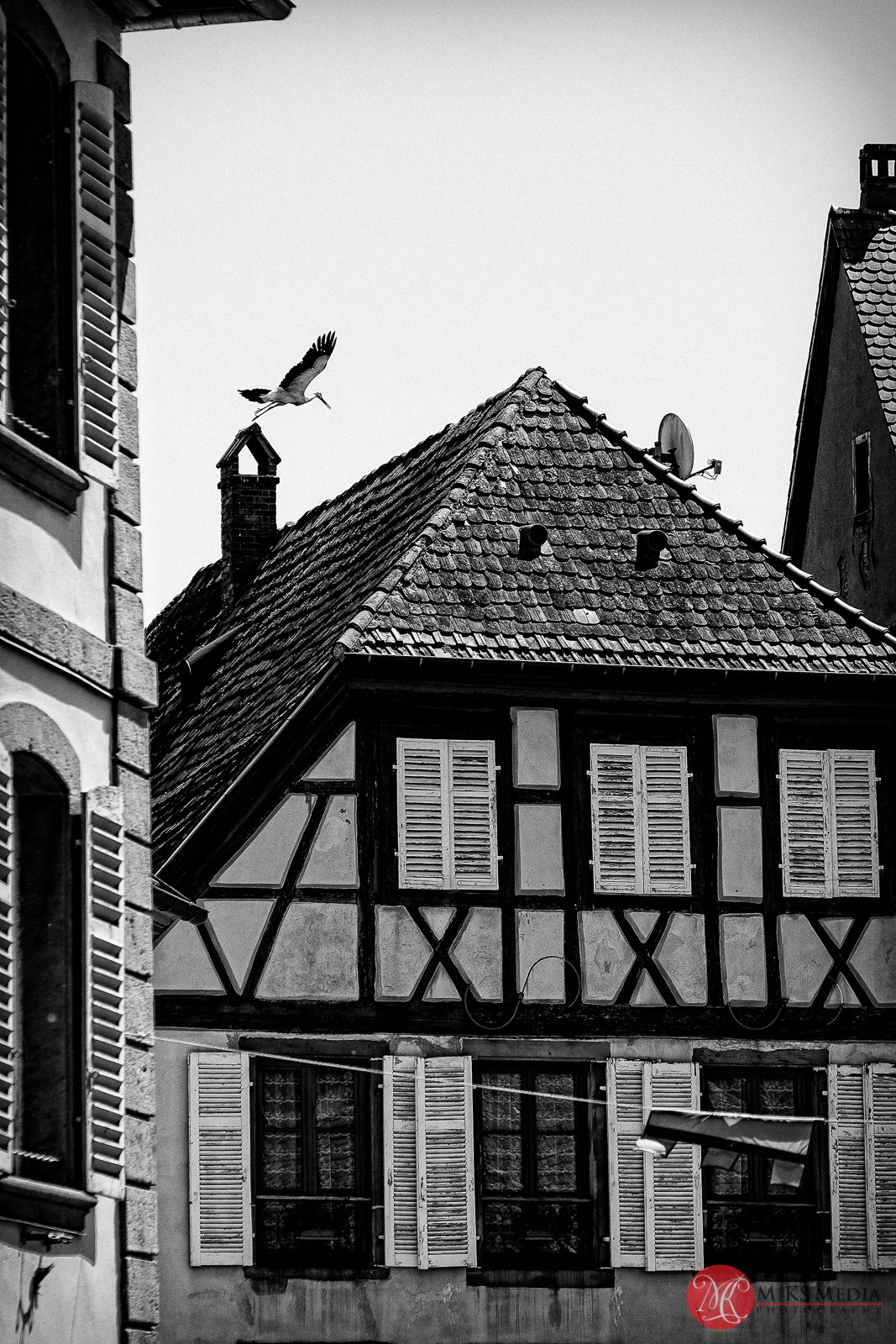 germany-33