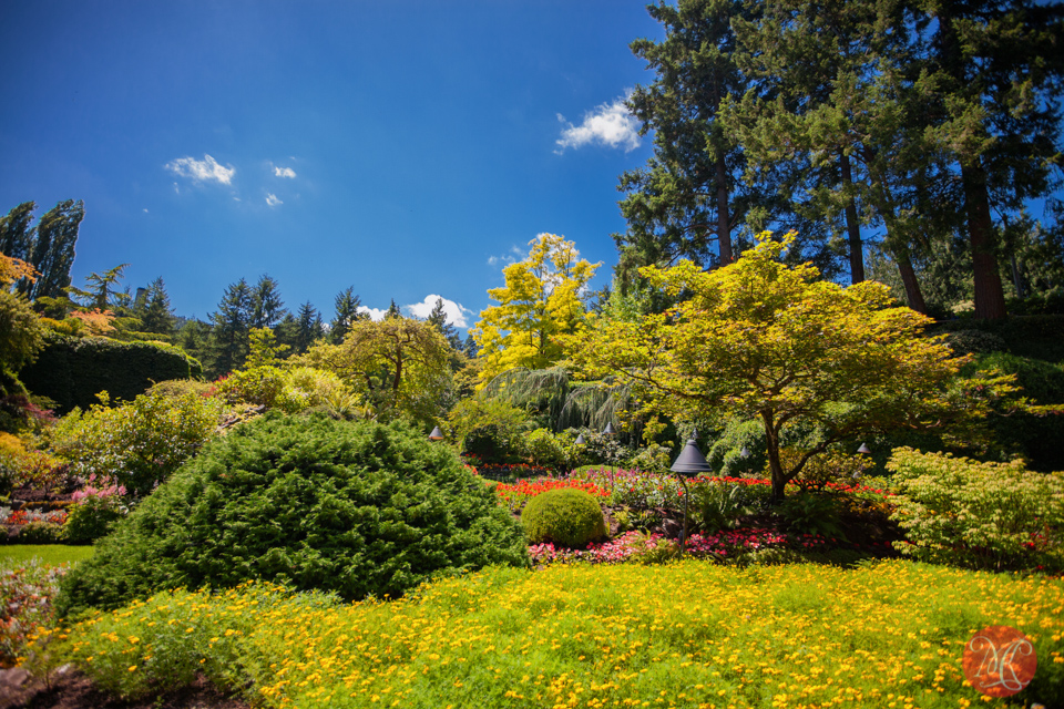 Butchart Gardens, Victoria, BC .. 6