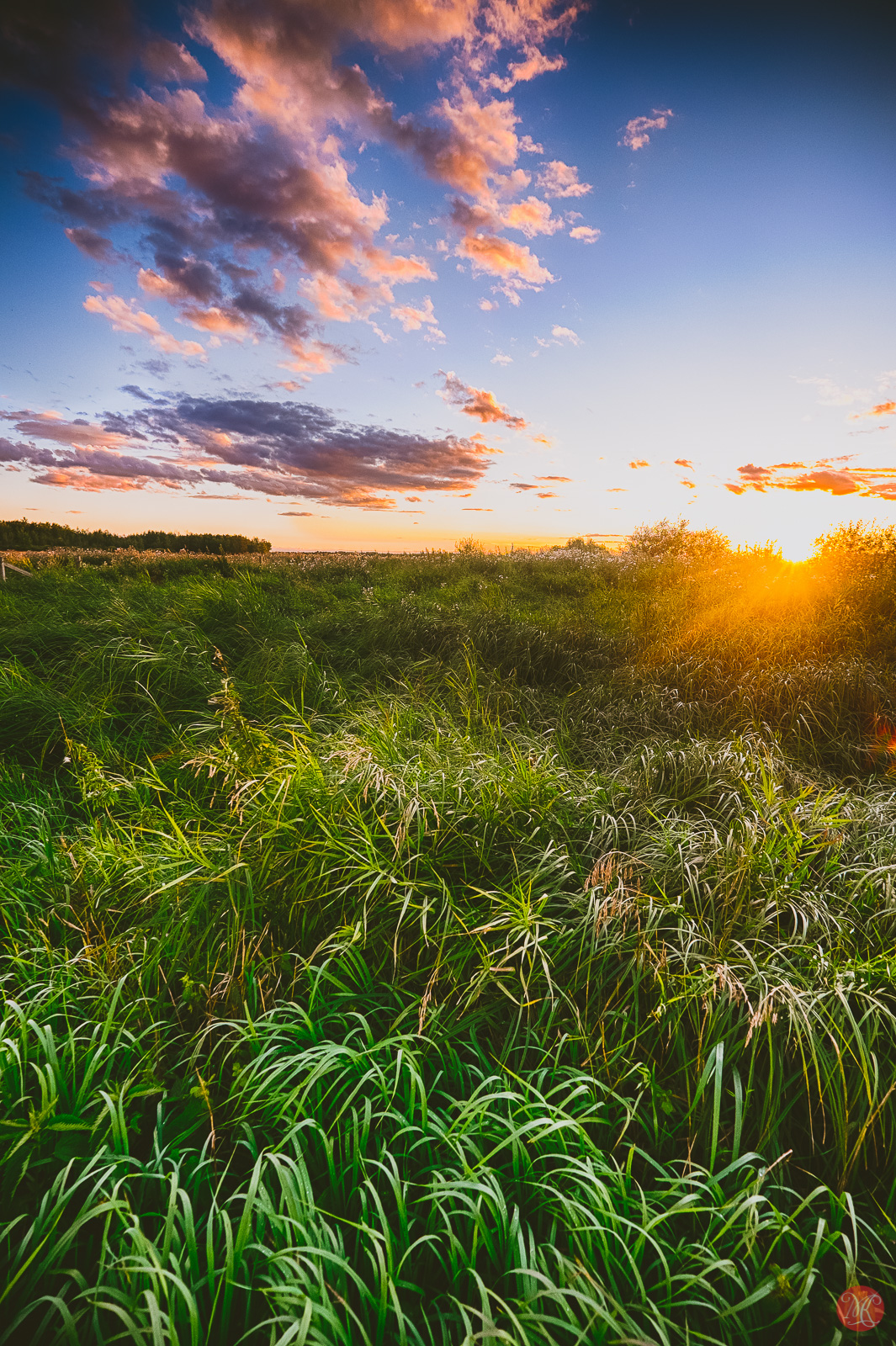 beautiful alberta prairie at sunset