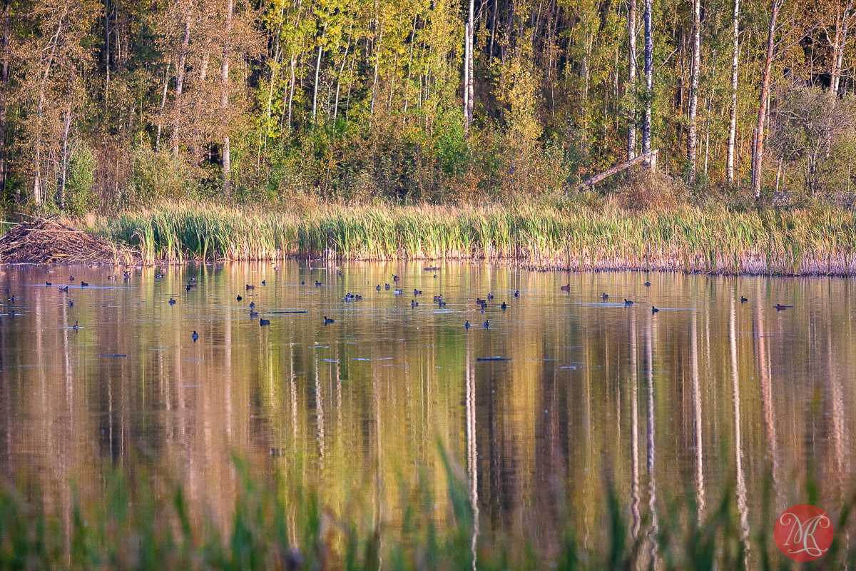 When summer meets fall