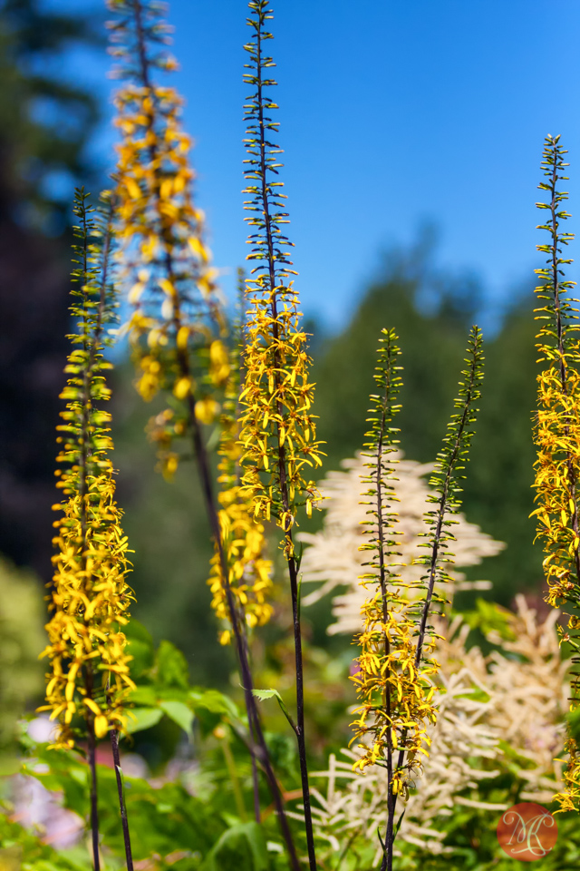 Butchart Gardens, Victoria, BC .. 10