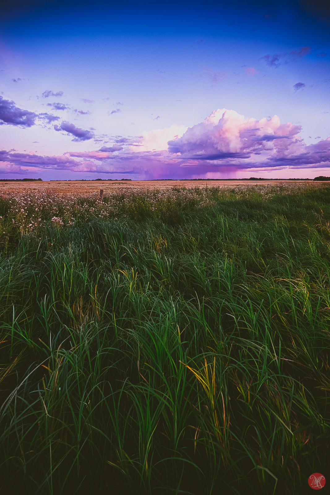 beautiful alberta prairie at sunset