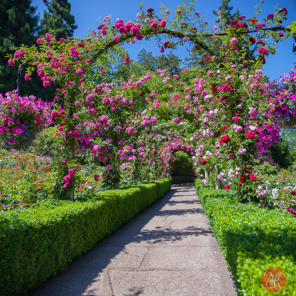 Butchart Gardens, Victoria, BC .. 12