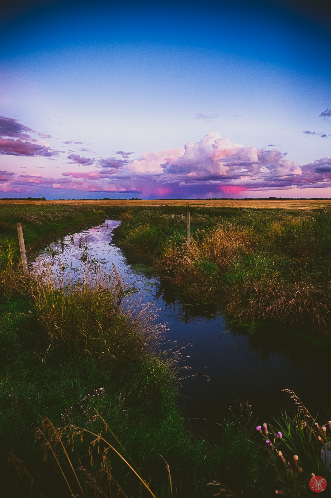 beautiful alberta prairie at sunset