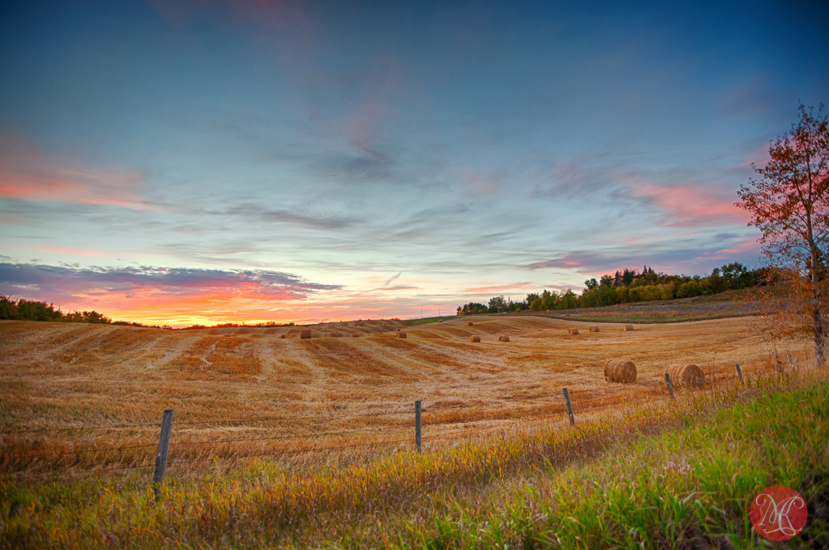 Fall evening