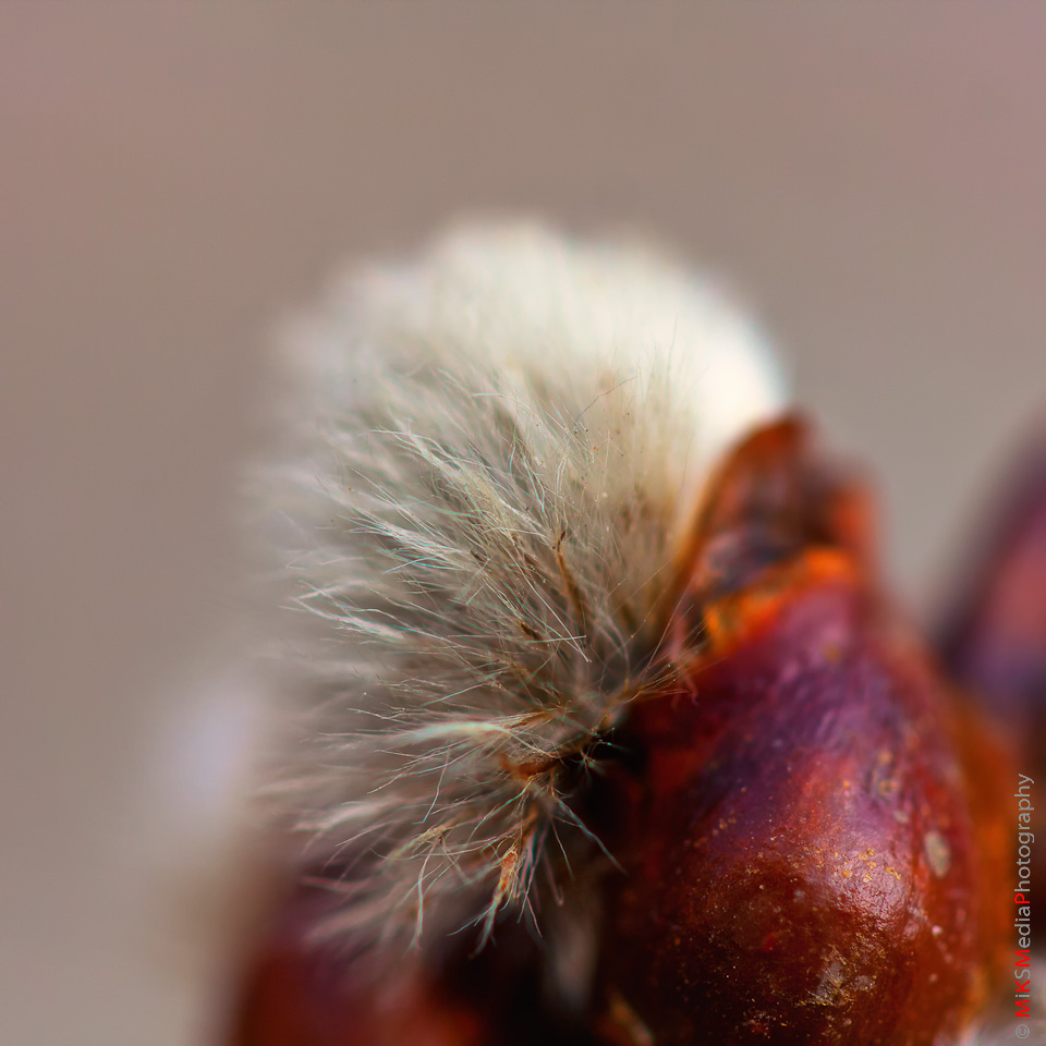 IMG_3444-Edit.jpg