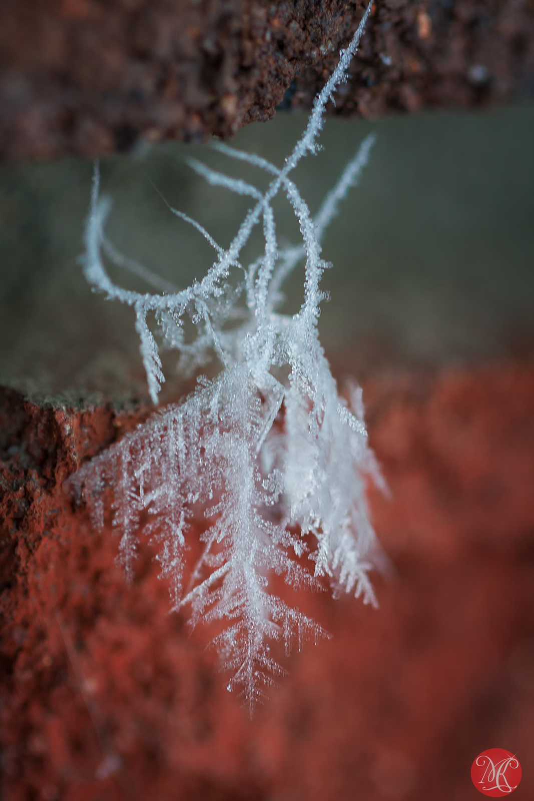 Snow and ice - Macro Photography