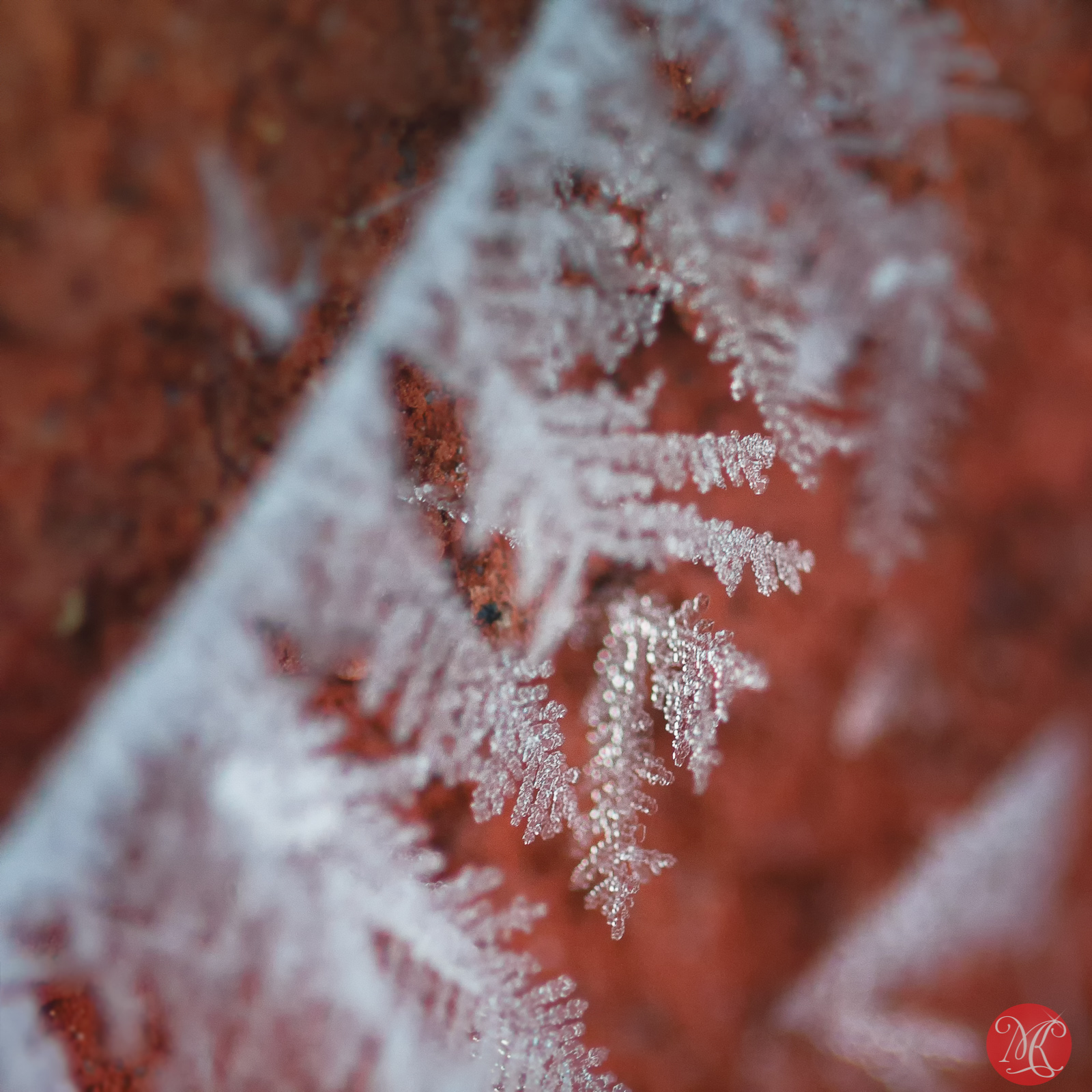 Snow and ice - Macro Photography