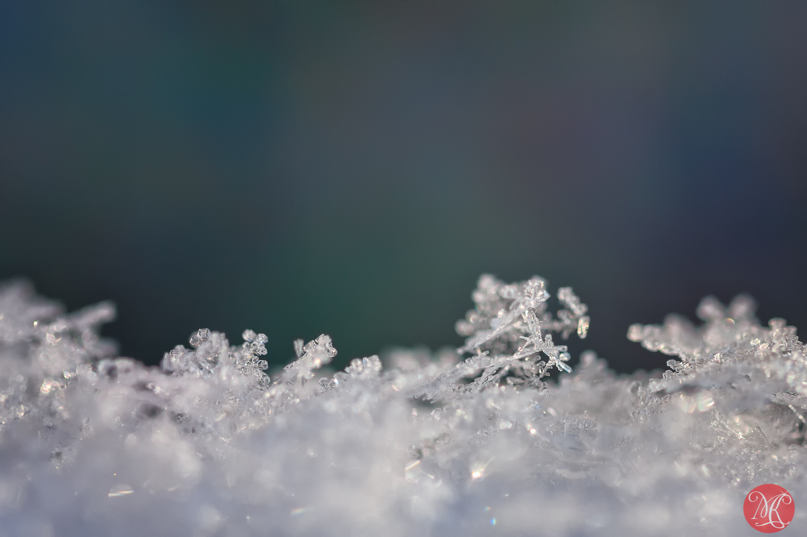 Snow and ice - Macro Photography