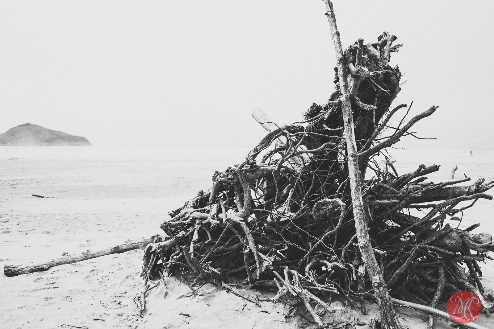 beach,bc,ocean,landscape photography 01