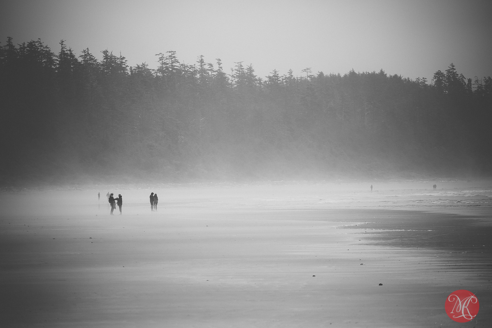beach,bc,ocean,landscape photography 03