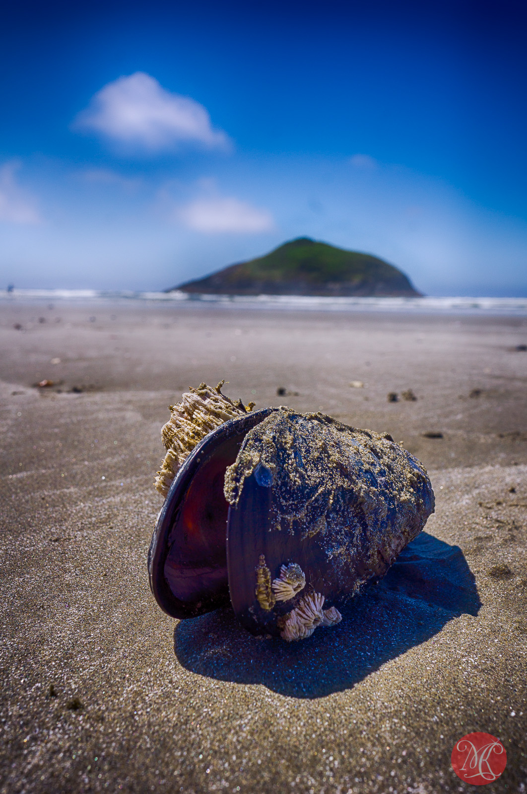beach,bc,ocean,landscape photography 03