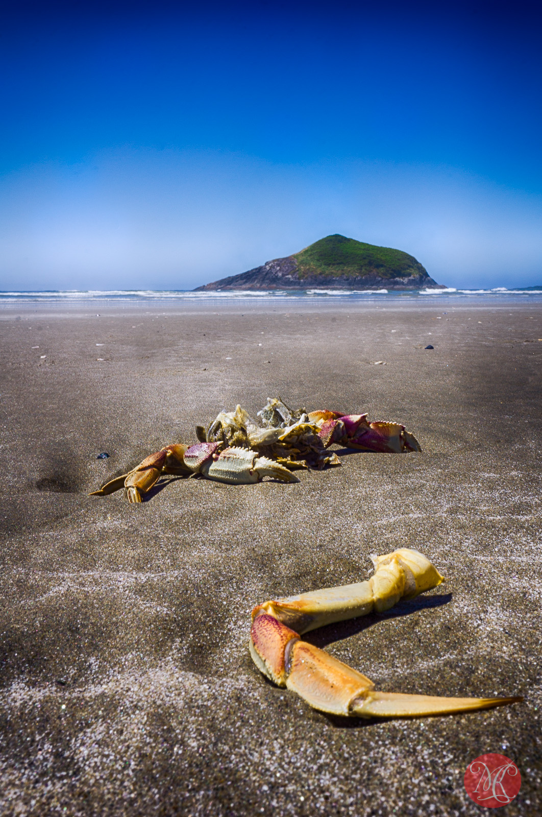 beach,bc,ocean,landscape photography 03