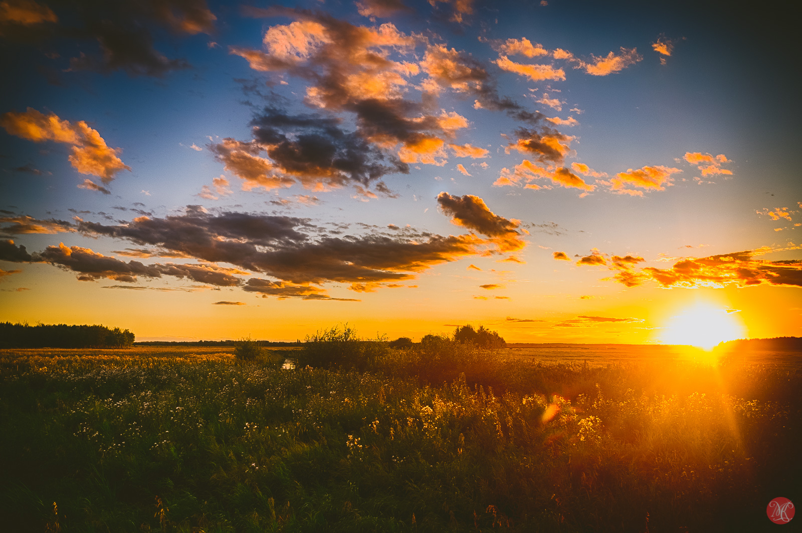 beautiful alberta prairie at sunset