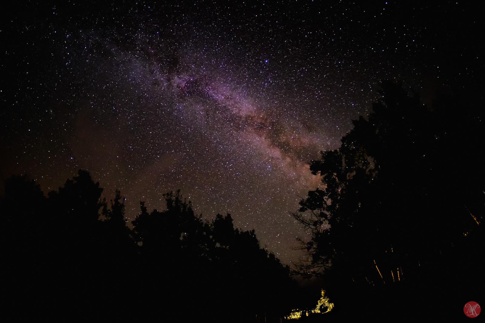 x100a-82.jpg